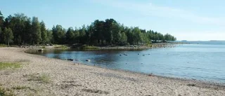 Pigge Werkelin visar intresse för Seskarö camping