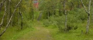 Samma gärningsman?