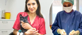 Ny veterinär förstärker hos utmanaren – värvades från Polen