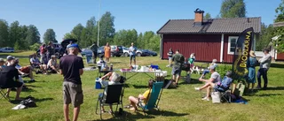 Bisurr med Luleå biodlarförening