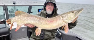 Fiskeprofilen: "Det är riktiga monster vi får upp"