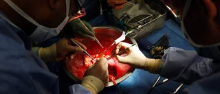 Organdonatorer fler än någonsin