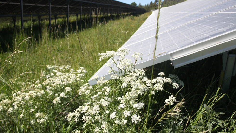 Öland har mer solenergi per invånare än Gotland.