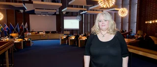 Spricka i partiet efter Lundkvists val av målare