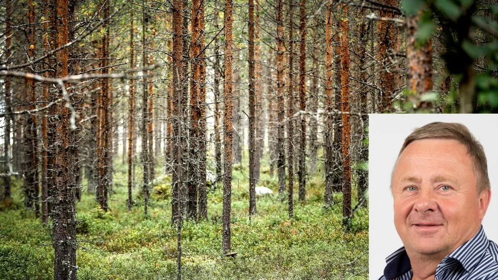 "Vi måste gå från det svarta kolet till det gröna" Säger Torgny Hardselius, ordförande för Norra skogsägarna. Han är orolig över älgens tallaptit.