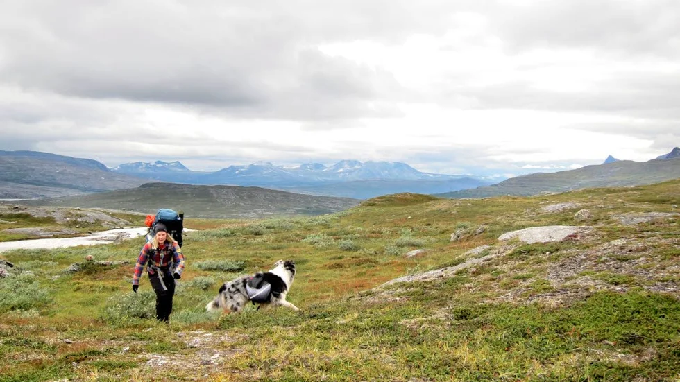 Regeringen satsar 20 miljoner kronor på vandringsleder i fjällen.