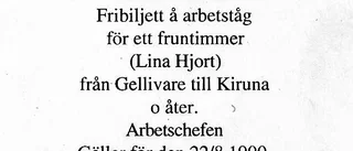 ”Dom som kommit efter oss kan inte förstå vad vi fick slita”