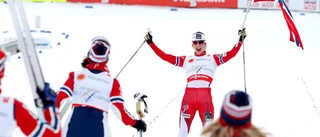 Avveckling eller utveckling och tillväxt?