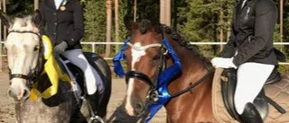 DM-medaljer till Bodenryttare