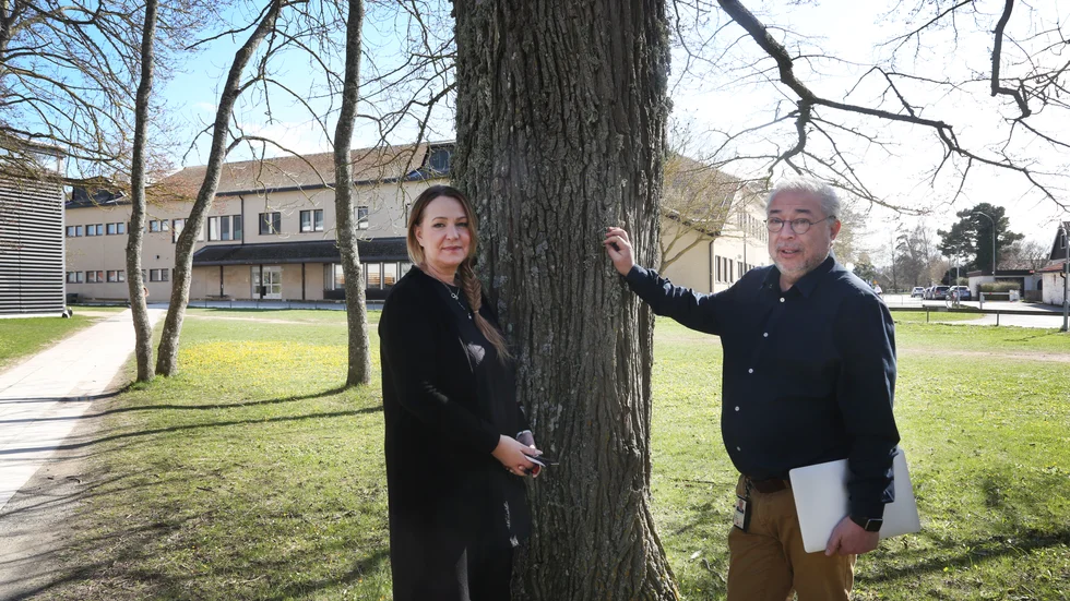 Klassrummet ligger på våning två i det lugnare Desideriahuset, bakom Luis Barnes och Ulrica Westin, på Wisbygymnasiets område.