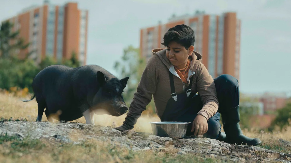 Tolvårige Abdel (Tomas Samir) slits mellan djuren och gänget i "Bullets". Pressbild.