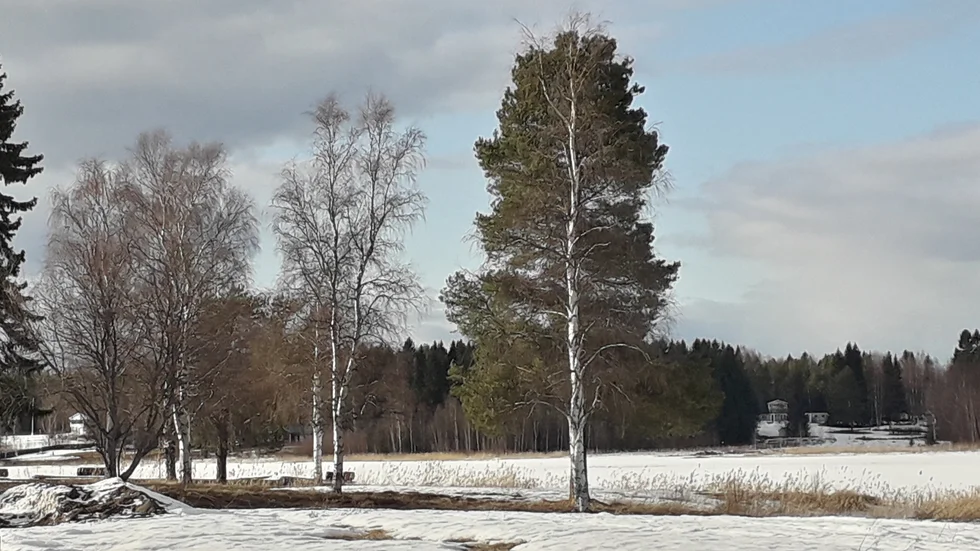 Dagens läsarbild.