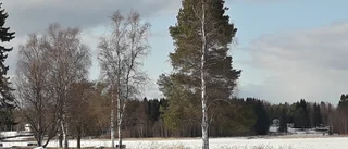 Dagens läsarbild: Två i ett