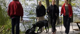 Håll hundarna nära – vi är fler på banorna