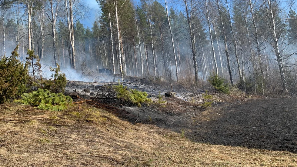 Här är bilder från en gräsbrand som skedde alldeles nyligen utanför Skråmträsk.