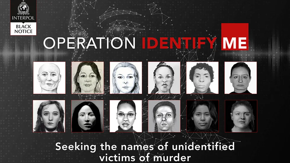 Den internationella polisorganisationen Interpol ber om hjälp att identifiera 22 kvinnor som tros ha mördats i Belgien, Tyskland och Nederländerna de senaste decennierna.