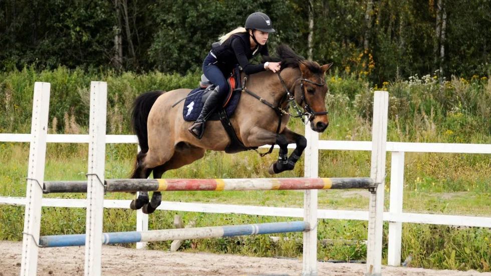 Mästare. Ebba Gunler och Nagar segrade i Kurirenmästerskapen 2016.