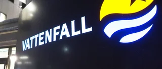 Vattenfall, ett företag utan ägarstyrning