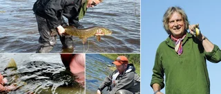 Westrin: Så ska du hantera fisken