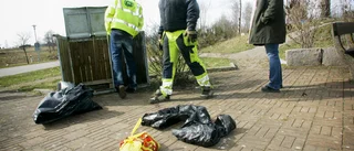 Döda djur dumpade på rastplats