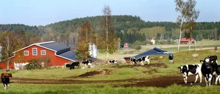 En större gård vill bli störst