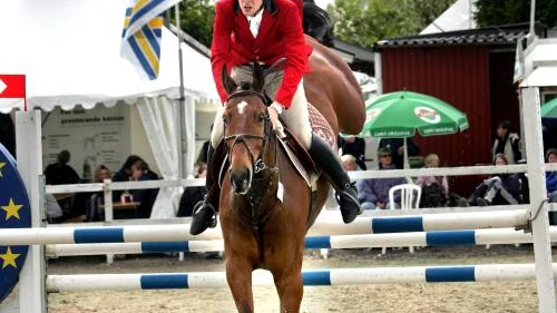 NORRKÖPING HORSE SHOW: Motalaryttaren Erik Jerneld och Pipkin hade ingen större framgång på Norrköpings Horse Show och tvingades utgå. Men Pipkin är bara sju år och har tiden för sig. Bild: MIA KARLSVÄRD