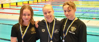 Arnesen simmade hem en medalj på SM