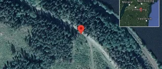 Fallna träd skapar problem i trafiken