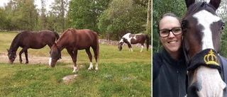 Malin har fått sommararrende: "Betyder häst-överlevnad"