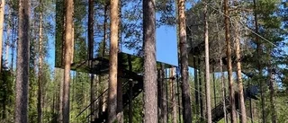 Demensföreningen på guidad tur bland träden