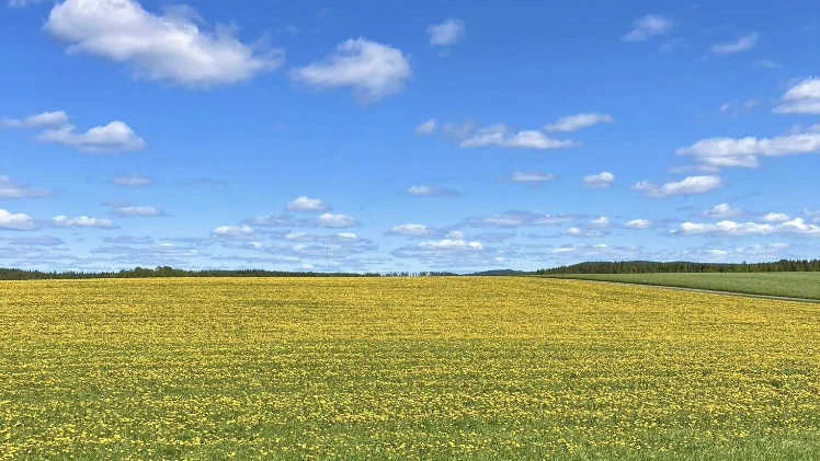 Dagens läsarbild.
