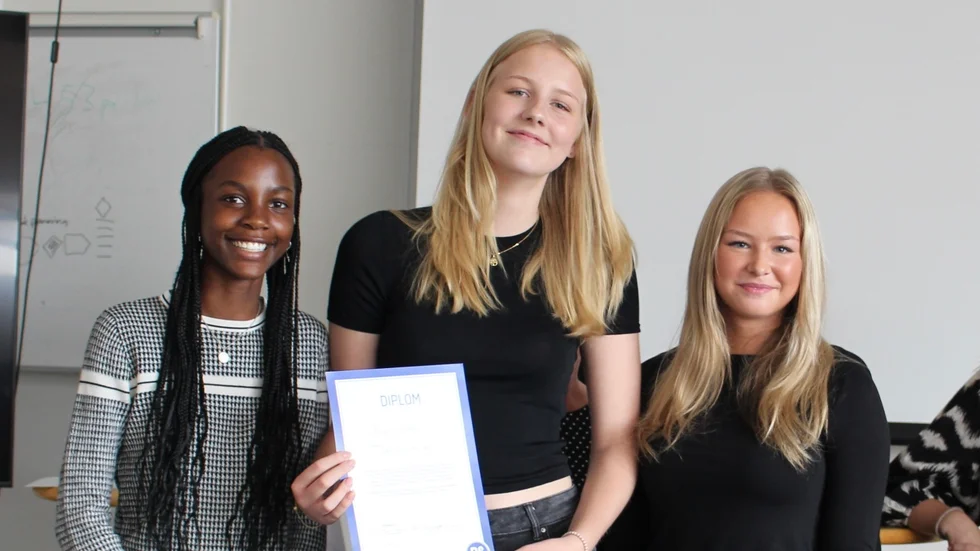 Vinnarna Liv Bukenya Cederborg (17), Vilma Norrbom (16) och Ellen Florin (15) vill öka jämställdheten i kommunen. De föreslår smygundervisning genom en serietidning, som ska vara riktad främst till lågstadieelever.