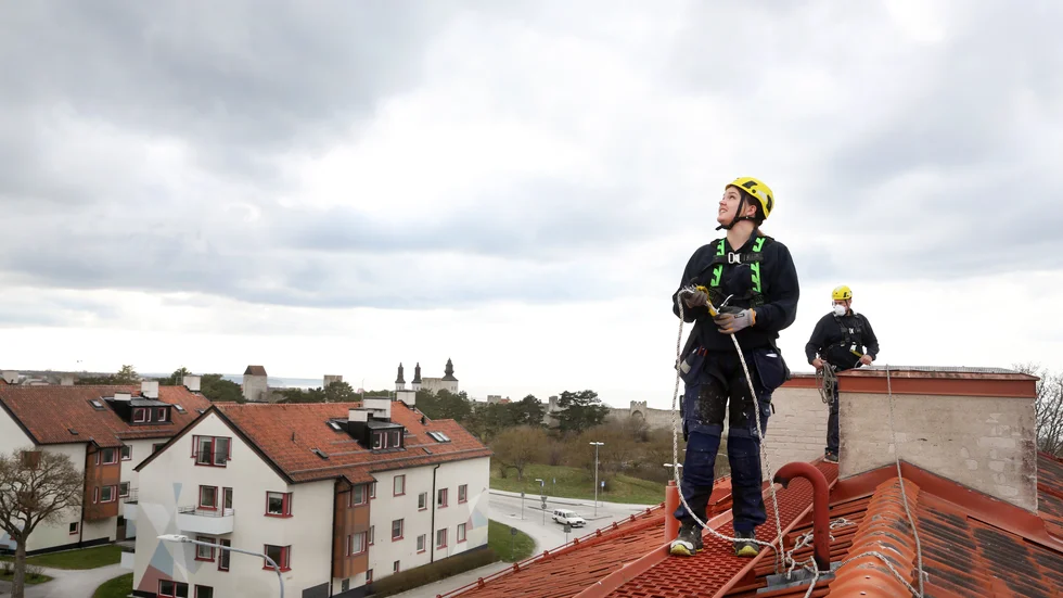 Gotlandshem har tio anställda som utbildats i att arbeta på höga höjder och just nu sanerar fiskmåsbon från taken. Linda Wiberg är bovärd med fokus på betalande hyresgäster i lägenheterna, som nu ska slippa störande måsar.