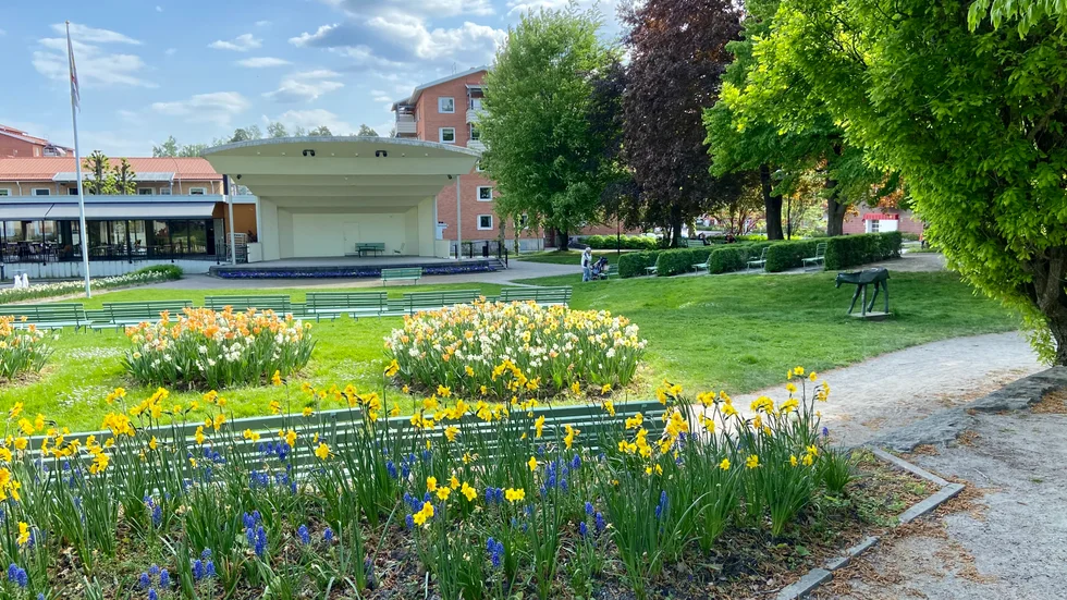 Stadsparken i slutet av maj. De vackra planteringarna i Katrineholm glädjer insändarskribenten som vill tacka trädgårdsarbetarna. 
