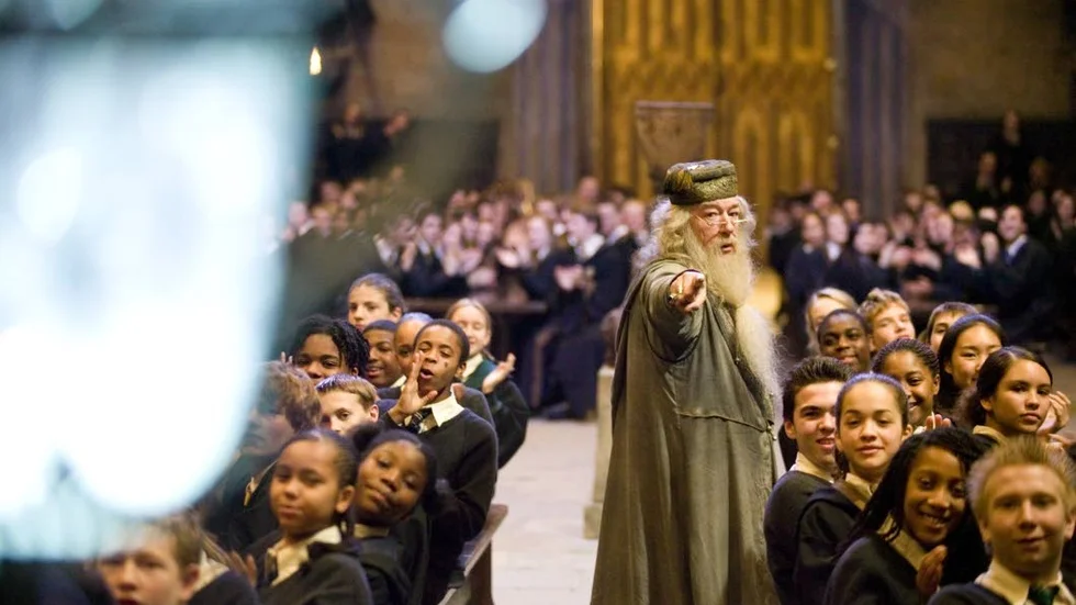 Michael Gambon som Dumbledore på den magiska skolan Hogwarths. Anna Ehn efterlyser fler lärosäten som kan ta hand om särskilda begåvningar.