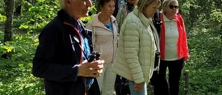 Vasa Orden på utflykt i Allekvia änge