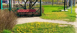 Läsarbilden: Färgglatt