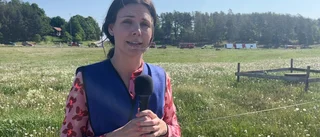 TV: Rapport från olycksplatsen: "En är mycket allvarligt skadad"