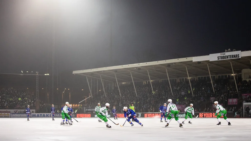 Studenternas IP är en av tre kandidater till spelplats för SM-finalerna i bandy 2024.