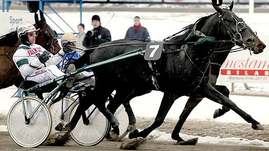 När storfavoriten Etain Royal klappade igenom dök Dream Shogun och Dan Widegren fram och segrade. En seger som rensade ordentligt på V75. Bild: JEPPE GUSTAFSSON