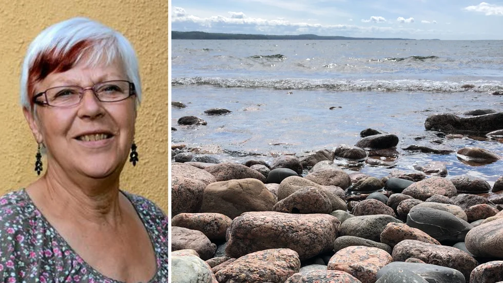 Efter Sveriges ansökan om medlemskap i Nato får Försvarsmakten allt fler förfrågningar från Nato-länder om att få öva krig i Sverige och bland annat använda Vättern som skjutmål, skriver debattskribenten.