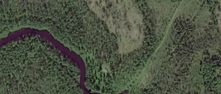 Ny ägare till gård i Pajala