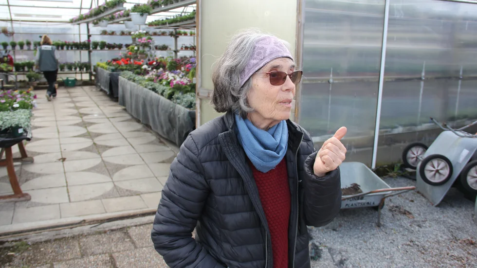 Det är snart 40 år sedan Inger Filipsson grundande plantskolan i Funbo tillsammans med maken Lars Jonasson. Hon har lång erfarenhet i trädgårdsbranschen.