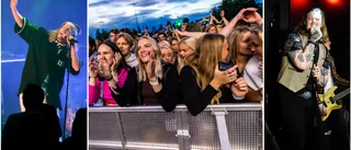 Luleåfavoriterna blir dragplåster på Putte i parken i Luleå
