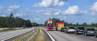 VIDEO: Här går kossorna på E4 – långa köer efter larmet