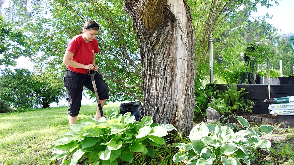 Anna Lindström, Trädgårdsönskan AB, har grävt bort växter för att kunna plantera nya och luckrar här upp jorden. Från och med maj till tidig oktober jobbar hon med trädgårds- och parkskötsel, trädgårdsdesign och erbjuder även konsultationer.