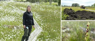 15 000 kubik jord forslas bort – största projektet i Sverige