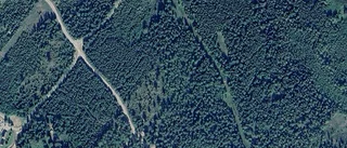 Lantbruksfastighet i Norrfjärden får nya ägare