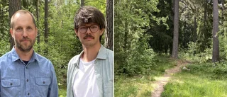 Spårvägen byggs i skyddsvärd natur – så vill styret kompensera