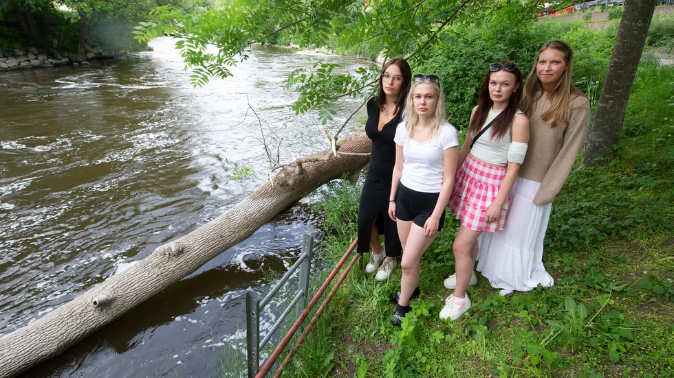 Gymnasiekåren med Sofie Hedin, Jennifer Mörlin, Johanna Mörlin och Maja Grönlund är besvikna på att ingen tidigare berättade om det farliga trädet i ån.